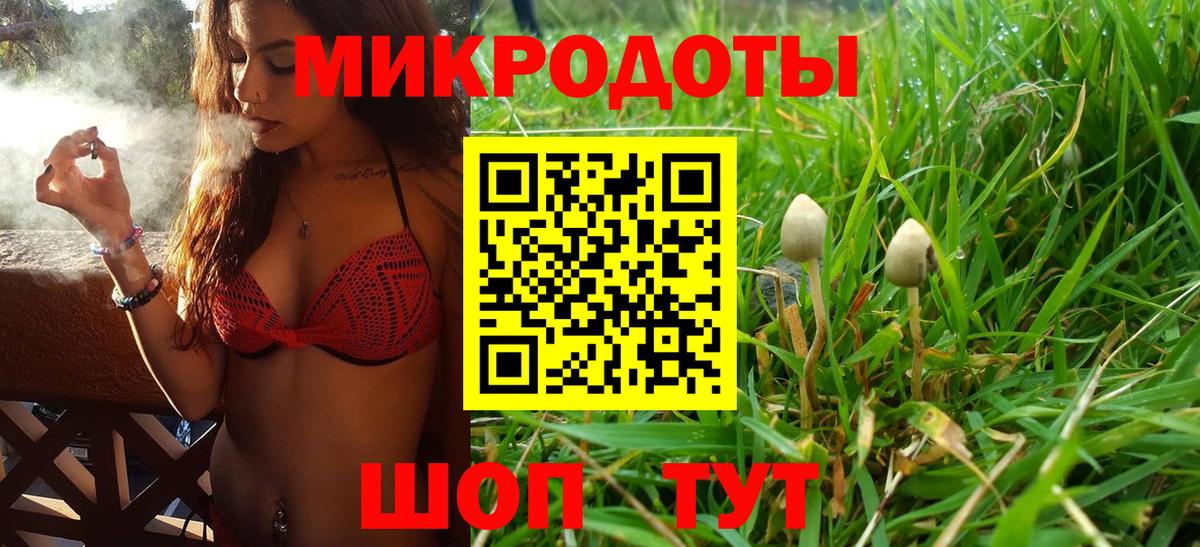 Карпинск  Галлюциногенные грибы мухоморы  Вход с VPN 